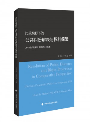 比较视野下的公共纠纷解决与权利保障
