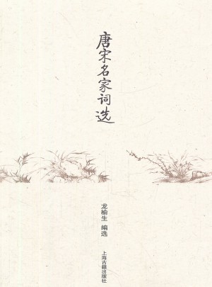 唐宋名家词选图书