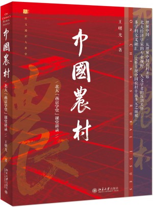 中国农村：北大燕京学堂课堂讲录