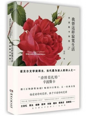 我曾这样寂寞生活