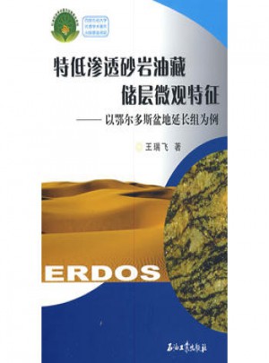 特低渗透砂岩油藏储层微观特征：以鄂尔多斯盆地延长组为例