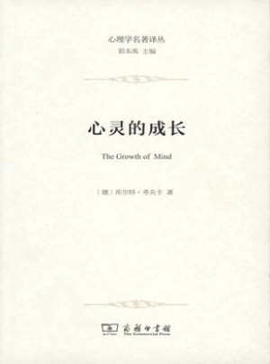 心灵的成长：儿童心理学导论图书