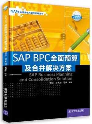 SAP BPC预算及合并解决方案