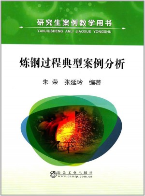 炼钢过程典型案例分析