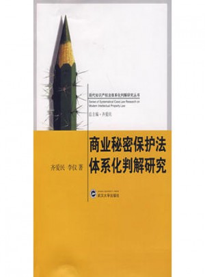 商业秘密保护法体系化判解研究