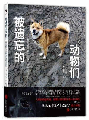 被遗忘的动物们