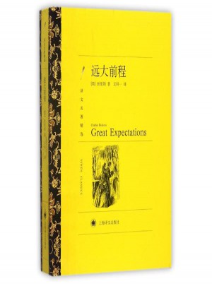 远大前程(译文名著精选)