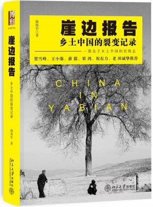 崖边报告：乡土中国的裂变记录图书
