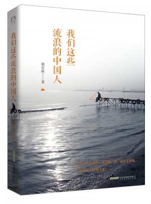 我们这些流浪的中国人