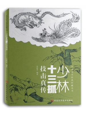少林十三抓技击真传图书