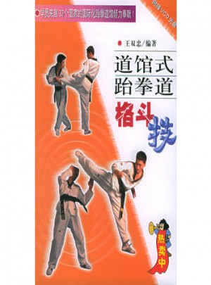 道馆式跆拳道格斗技图书
