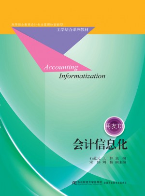 会计信息化