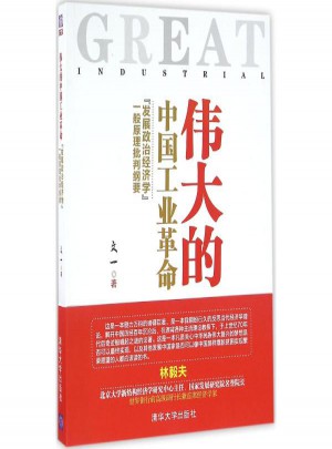 伟大的中国工业革命(发展政治经济学一般原理批判纲要)图书