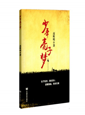 少年亮子梦