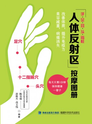 标准人体反射区挂图（盒装）图书