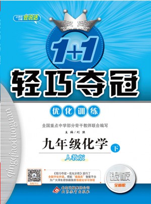 1+1轻巧夺冠·优化训练：九年级化学（下）·人教版 2018春