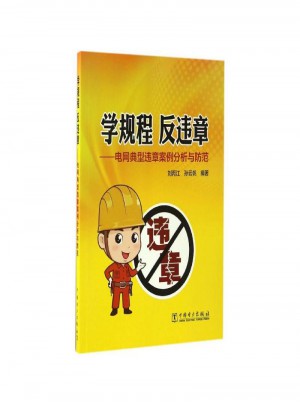 学规程反违章·电网典型违章案例分析与防范