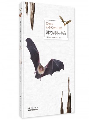 洞穴与洞穴生命图书
