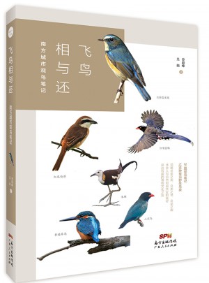 飞鸟相与还：南方城市观鸟笔记