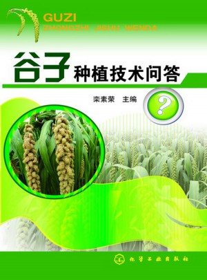谷子种植技术问答
