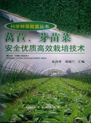 科学种菜致富丛书：莴苣、芽苗菜安全品质高效栽培技术