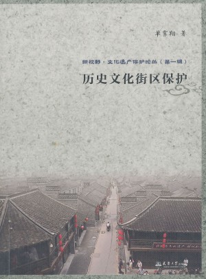 新视野丛书：历史文化街区保护