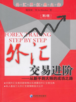 外汇交易进阶（第2版）