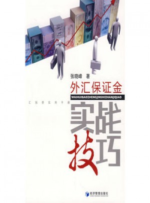 外汇保障金实战技巧