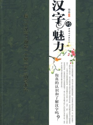 汉字的魅力：你真的了解汉字吗？