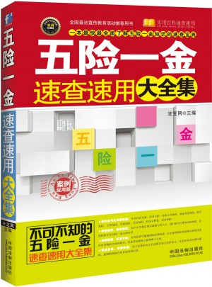 五险一金速查速用大全集：案例应用版