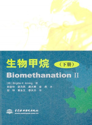 生物甲烷（下册）图书