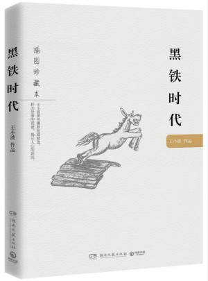 黑铁时代：王小波作品（插图珍藏本）