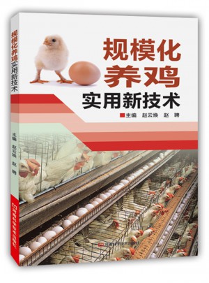 规模化养鸡实用新技术