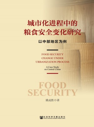 城市化进程中的粮食安全变化研究图书