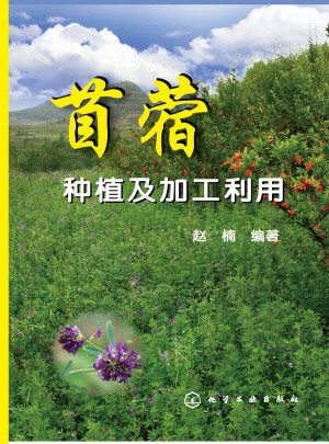 苜蓿种植及加工利用