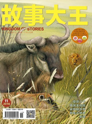 故事大王（2016年下半年）