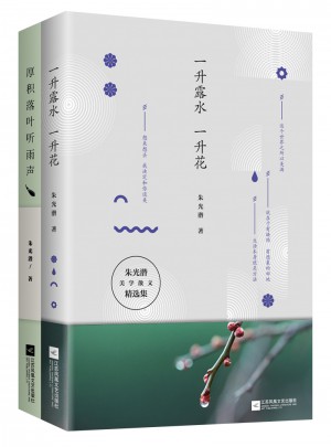 生活自有诗意：朱光潜经典美学散文2册套装图书