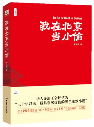 我在北京当小偷