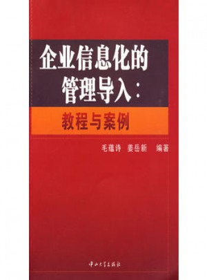 企业信息化的管理导入：教程与案例