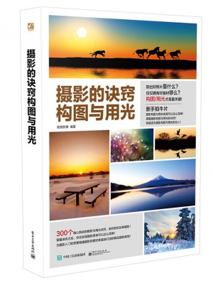 摄影的诀窍  构图与用光 （全彩）