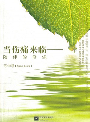当伤痛来临：陪伴的修炼