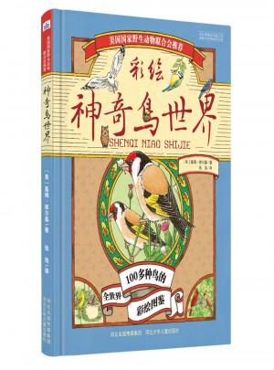 神奇鸟世界