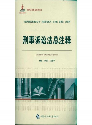 刑事诉讼法总注释