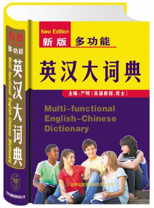 新版多功能英汉大词典(精)