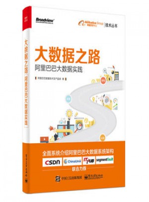 大数据之路：阿里巴巴大数据实践