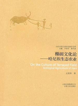 梯田文化论：哈尼族生态农业