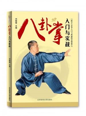 八卦掌入门与实战