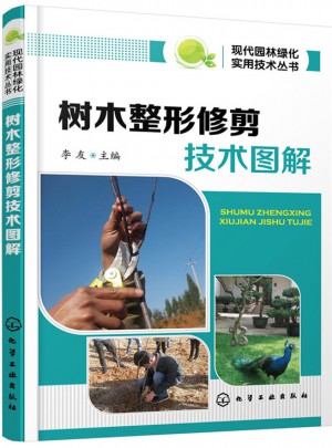 树木整形修剪技术图解