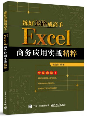练好套路成高手：Excel商务应用实战精粹图书