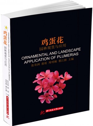 鸡蛋花：园林观赏与应用